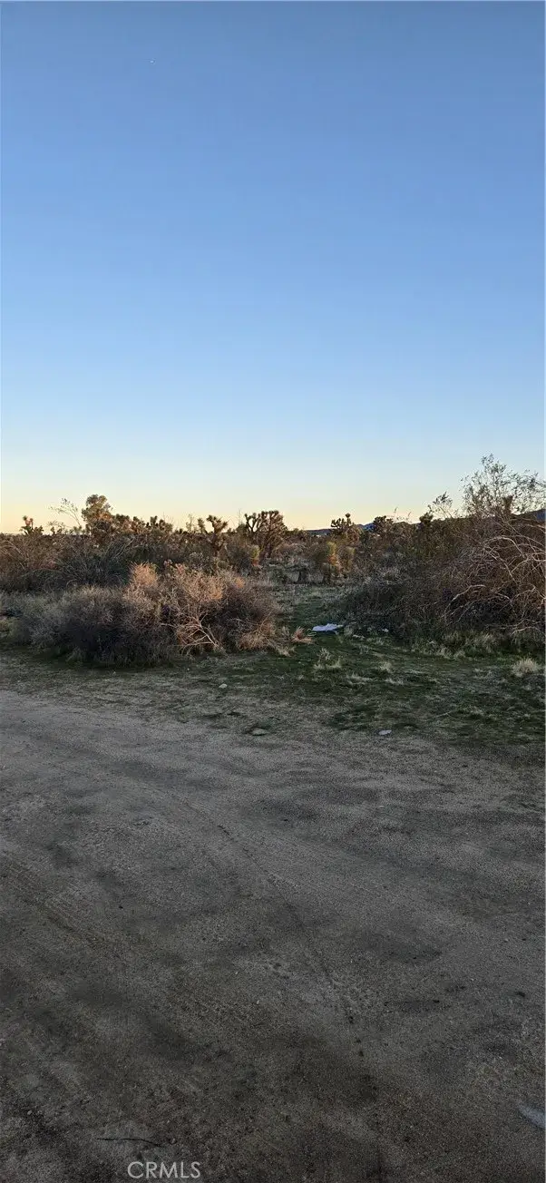 253 Vac/vic, Lake Los Angeles, CA 93591 - #3