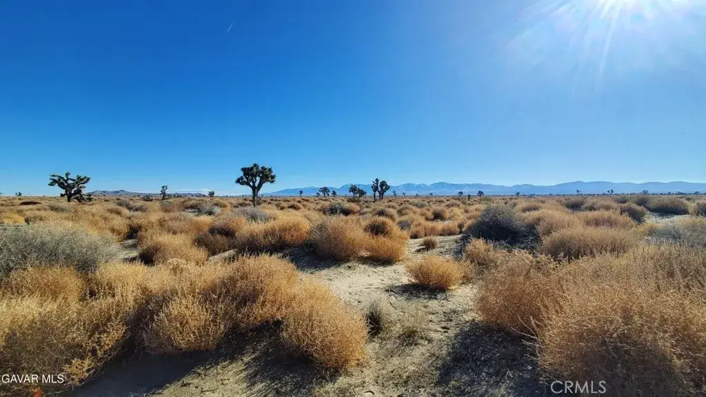 0 Vicinity Avenue L2 & 77th East, North Antelope Valley, CA 93535 - #1