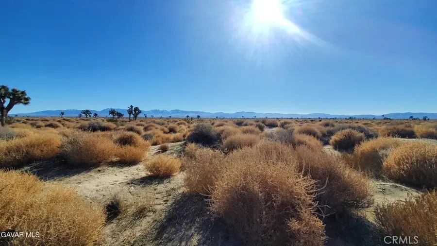 0 Vicinity Avenue L2 & 77th East, North Antelope Valley, CA 93535 - #2