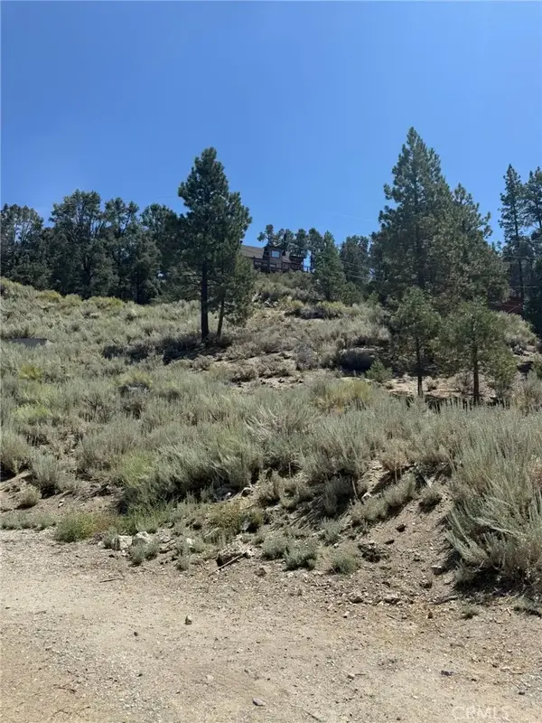 2201 Ironwood, Pine Mountain Club, CA 93222