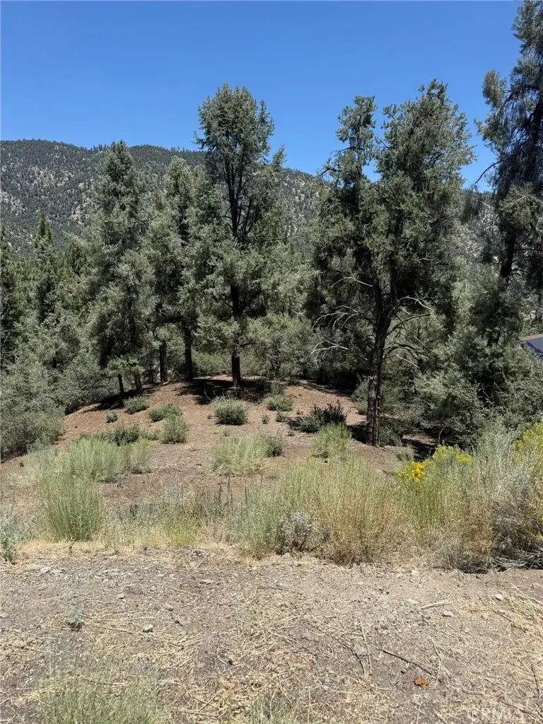2424 Cedarwood, Pine Mountain Club, CA 93222 - #1