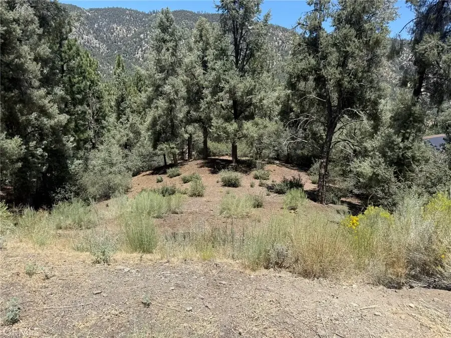2424 Cedarwood, Pine Mountain Club, CA 93222 - #2