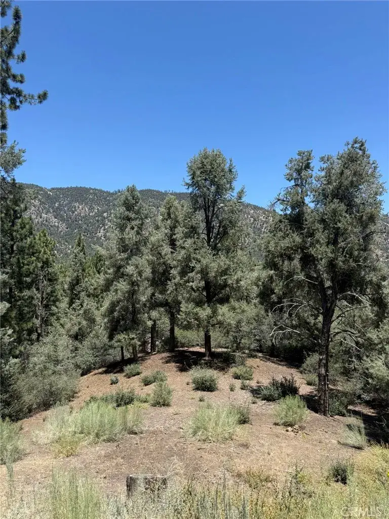 2424 Cedarwood, Pine Mountain Club, CA 93222 - #3