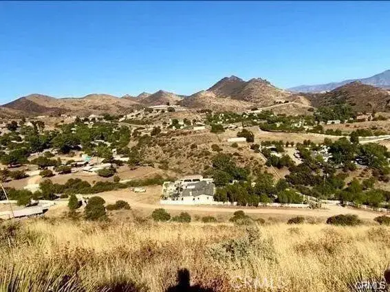 32600 Willow, Agua Dulce, CA 91390 - #1