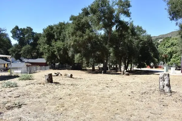 15206 Punky Canyon & Calle El Bosque, Green Valley, CA 91350