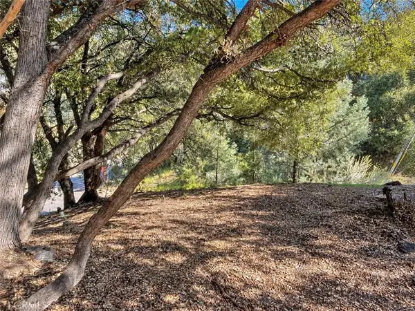 2117 Alder, Pine Mountain Club, CA 93222