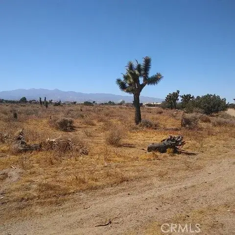 10611 Yucca Terrace, Oak Hills, CA 92344 - Image #3