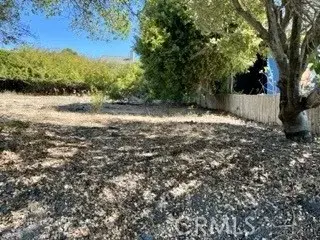 #3