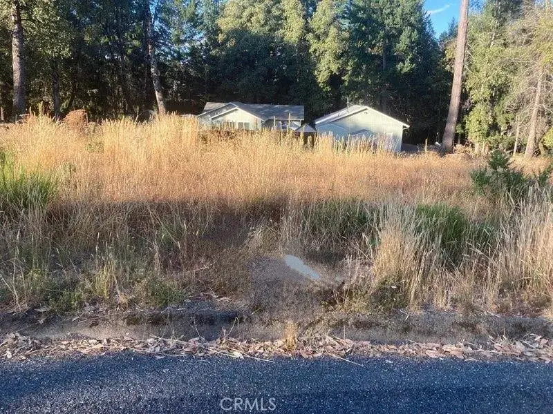 28281 Poppy, Willits, CA 95490 - #3