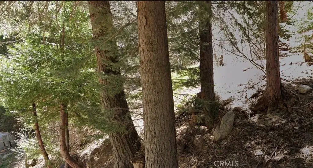 0 Wellsley, Lake Arrowhead, CA 92352 - #1