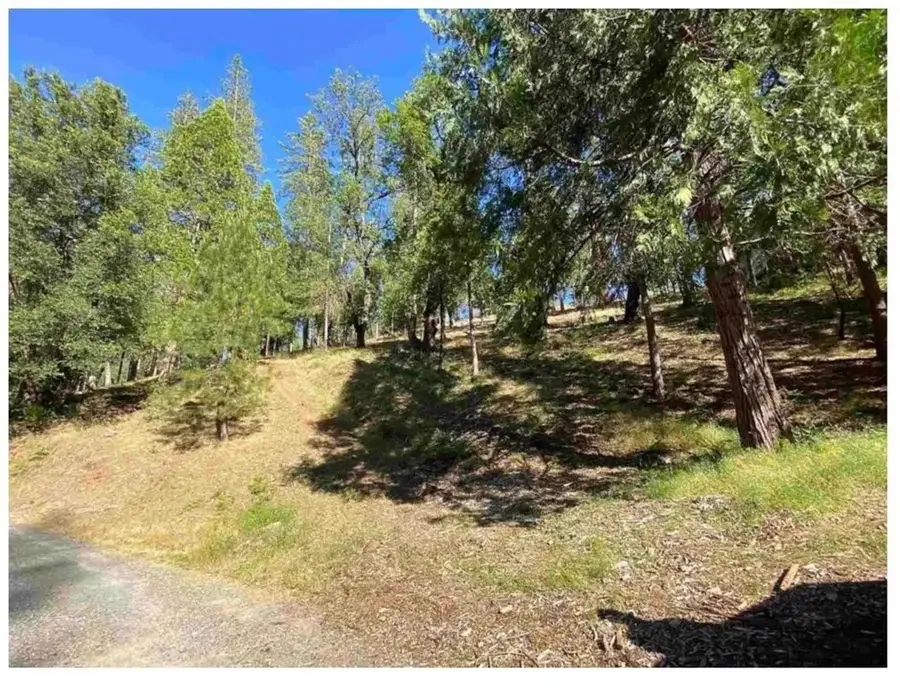 0 Pine Mountain, Groveland, CA 95321 - #3
