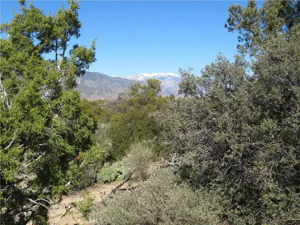 155 Lot #155 Buckthorn, Mountain Center, CA 92561