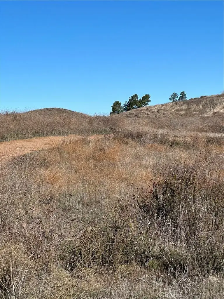 12 Alexander, Hemet, CA 92544 - #2