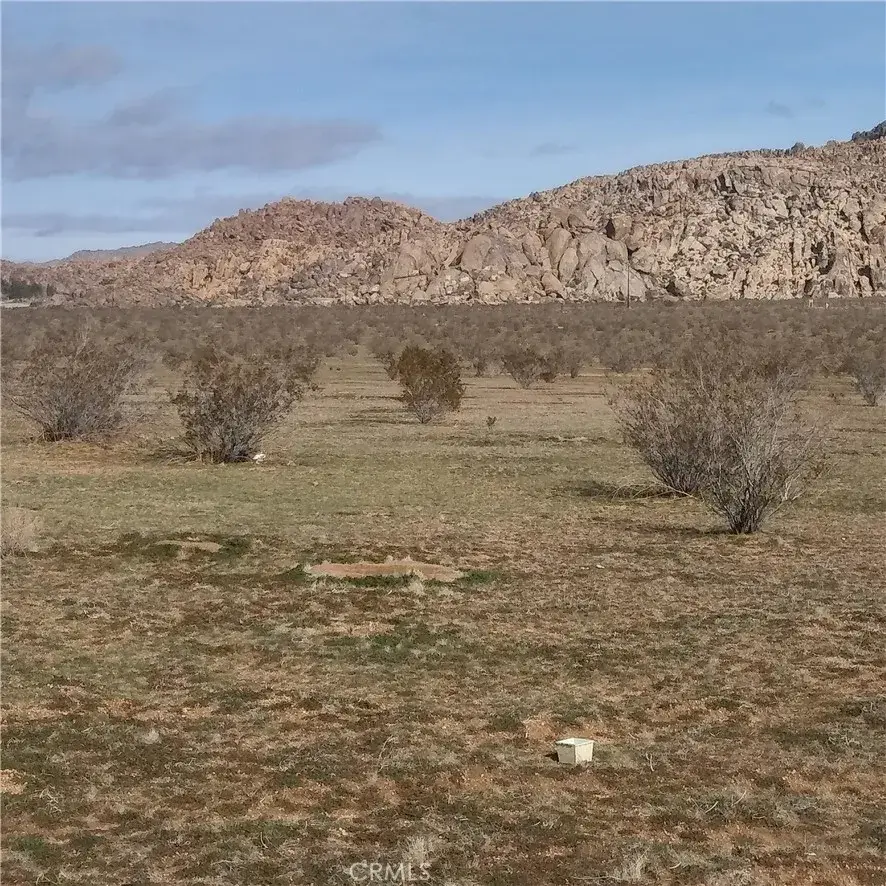 0 Powerline Rd, Lucerne Valley, CA 92356 - #1