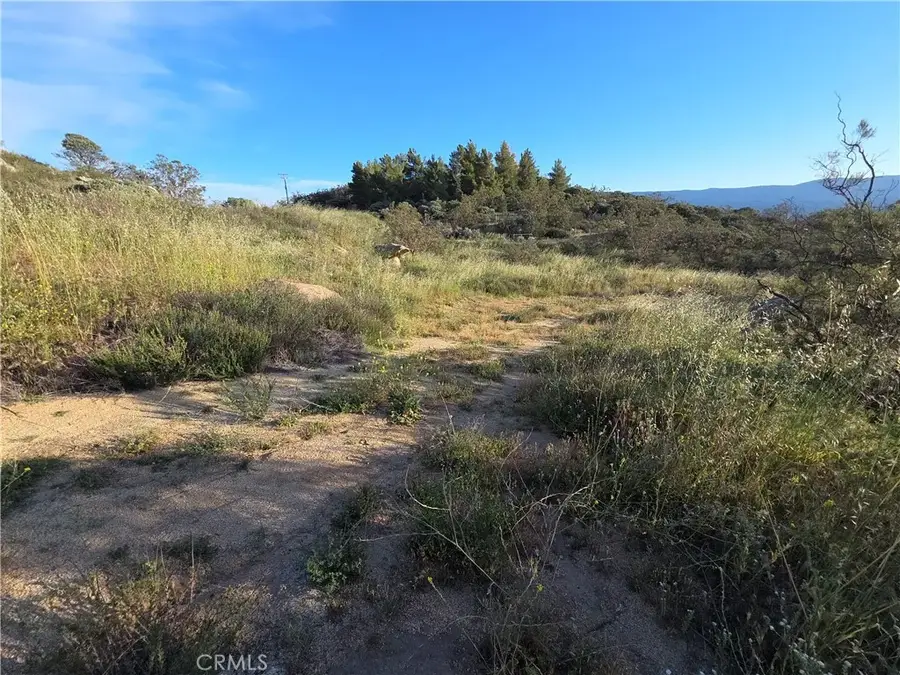 1007 Roan Way, Aguanga, CA 92536 - #2