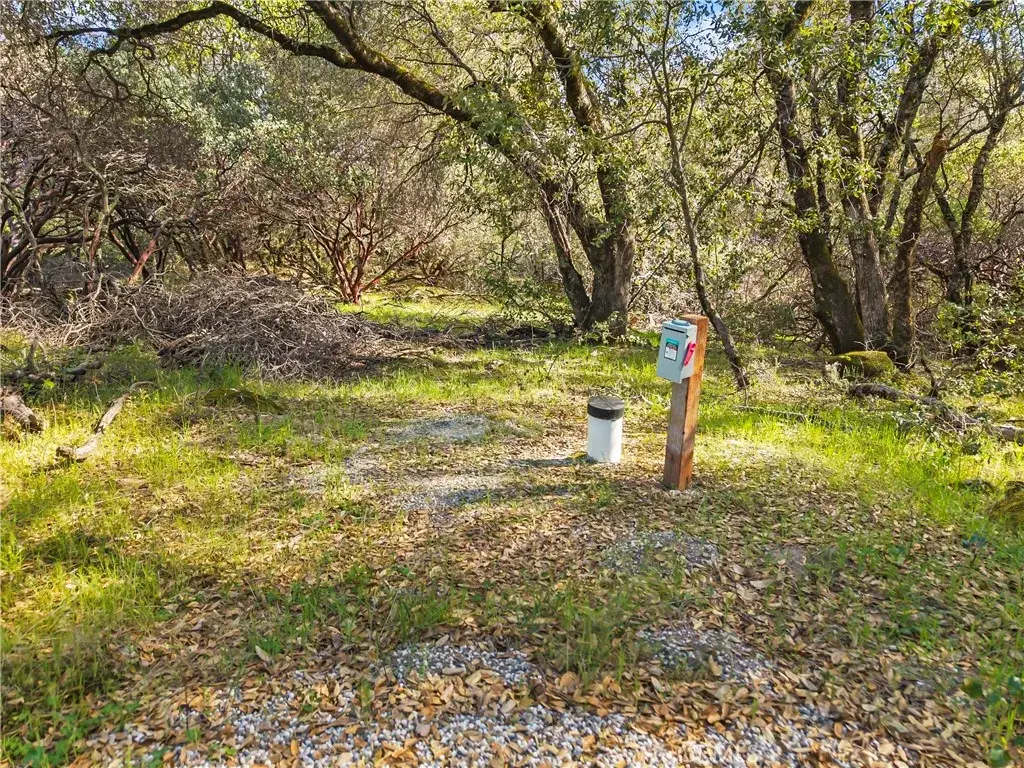 1371 Moccasin, Placerville, CA 95667 - #1