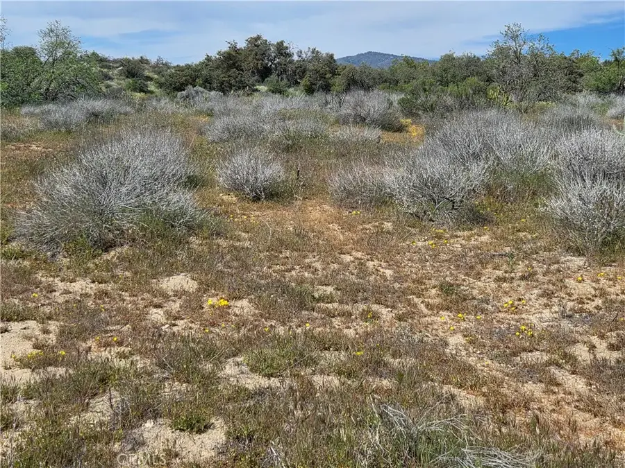 4 Fletcher, Anza, CA 92539 - #2