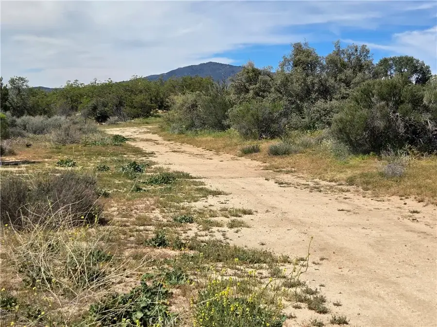 4 Fletcher, Anza, CA 92539 - #3