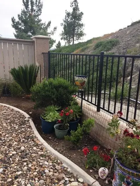 29351 Quaking Aspen Way, Menifee, CA 92584 - #1