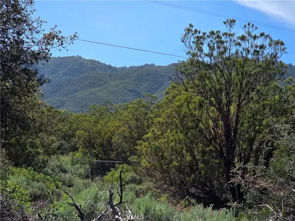 37400 Tripp Flats, Anza, CA 92539