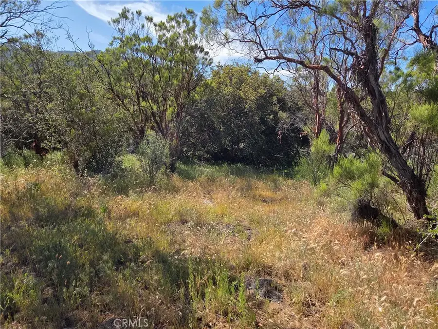 37400 Tripp Flats, Anza, CA 92539 - #3