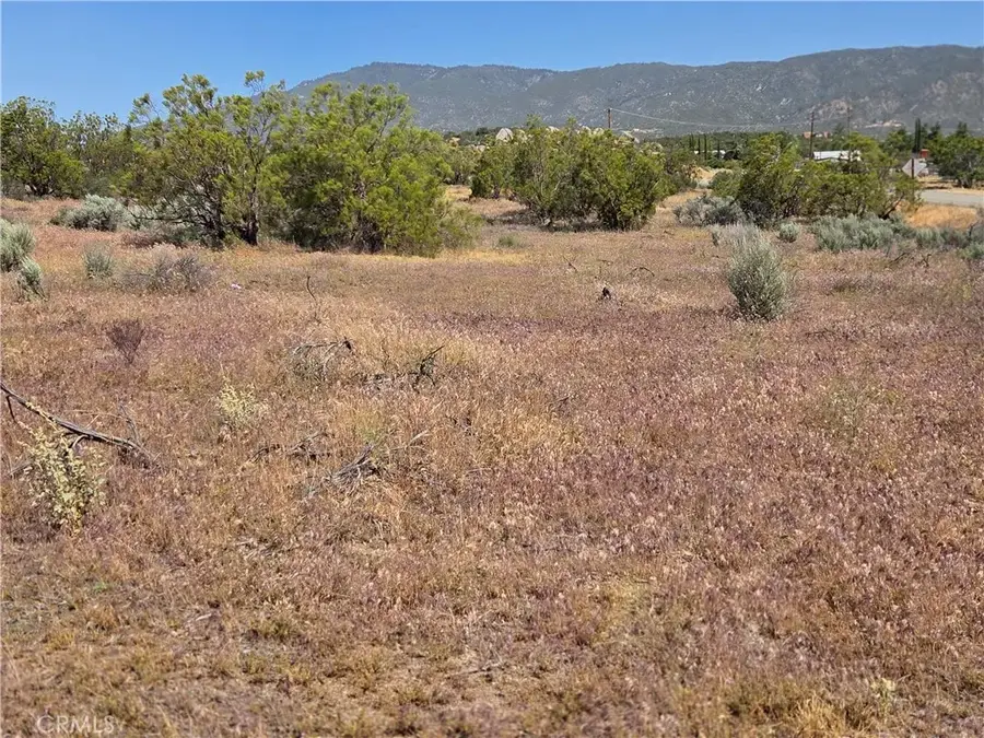 56941 Cain, Anza, CA 92539 - #2