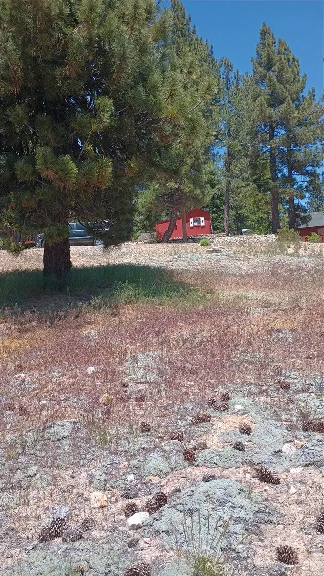 39237 Crest, Big Bear Lake, CA 92315 - #3