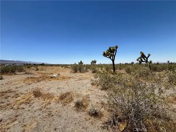0 Danbury, Pinon Hills, CA 92372