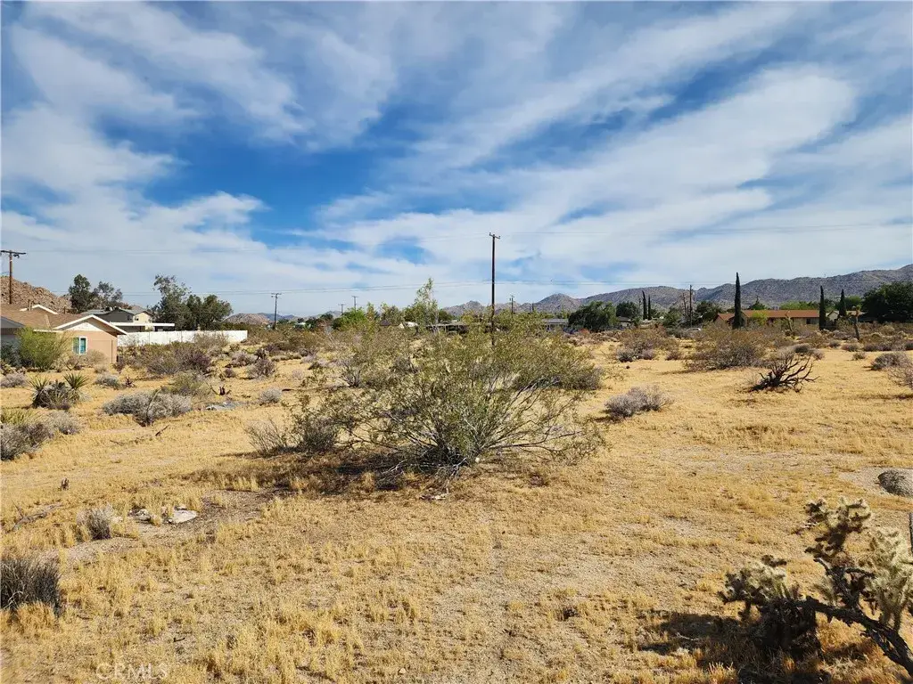 61665 Division, Joshua Tree, CA 92252 - #1