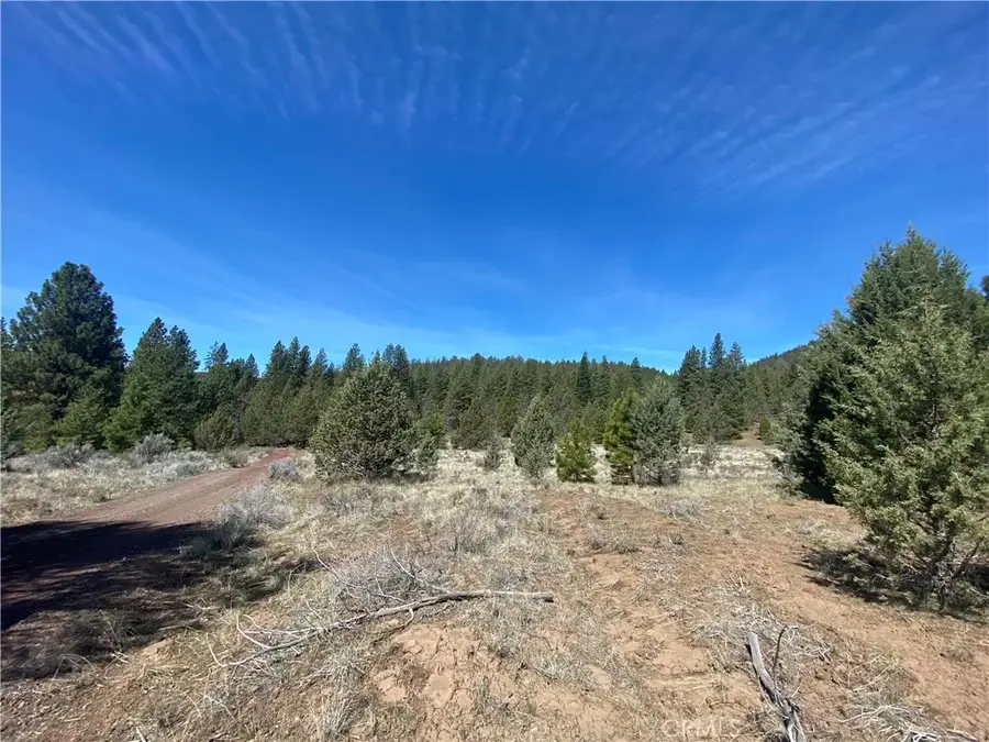 0 Matthews, Dorris, CA 96023 - #3