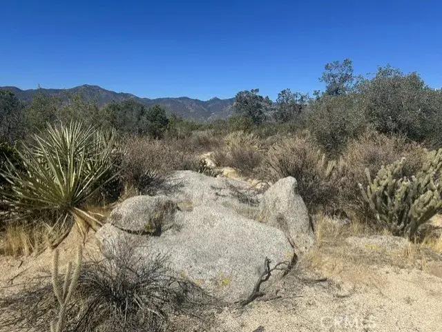 319 Alpine Dr, Mountain Center, CA 92561 - #1