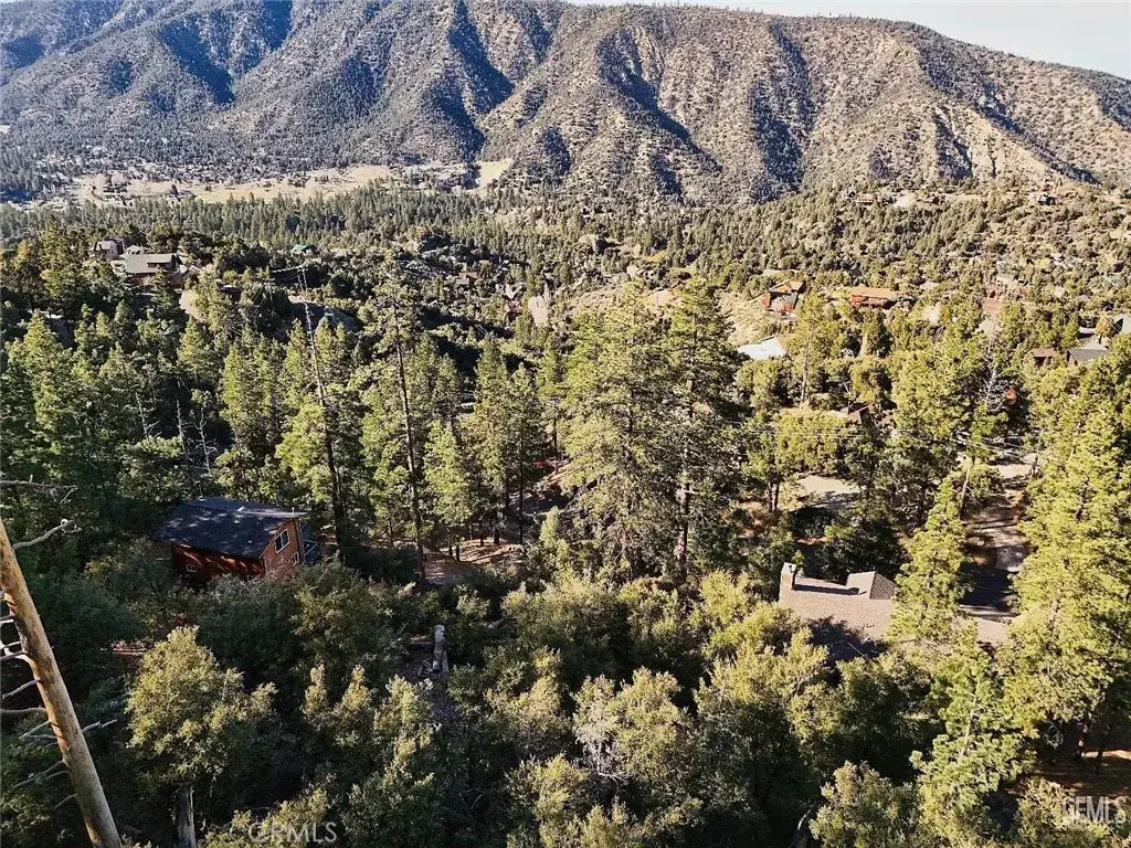 1621 Zermatt, Pine Mountain Club, CA 93222 - #1