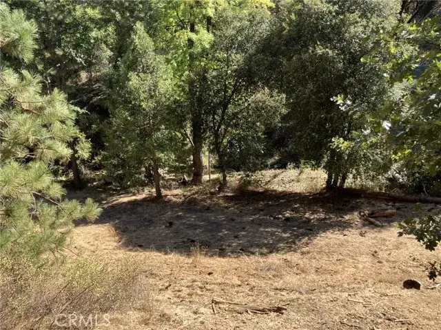 #1