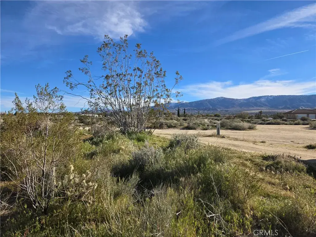 0 Mountain, Pinon Hills, CA 92372 - #1