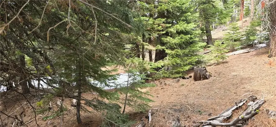 0 Mckenney, Alturas, CA 96101 - #3