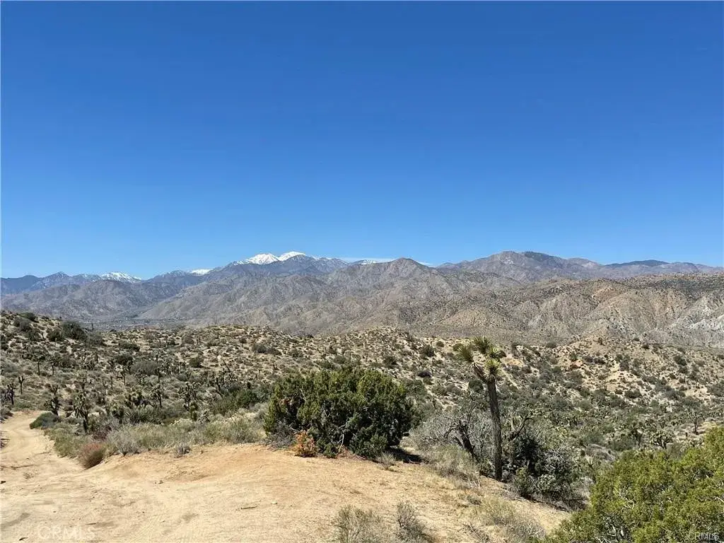 54589 Hoopa Trail, Yucca Valley, CA 92284 - #1