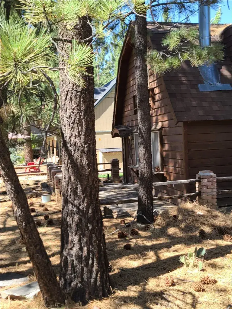 970 D Lane, Big Bear City, CA 92314 - #3