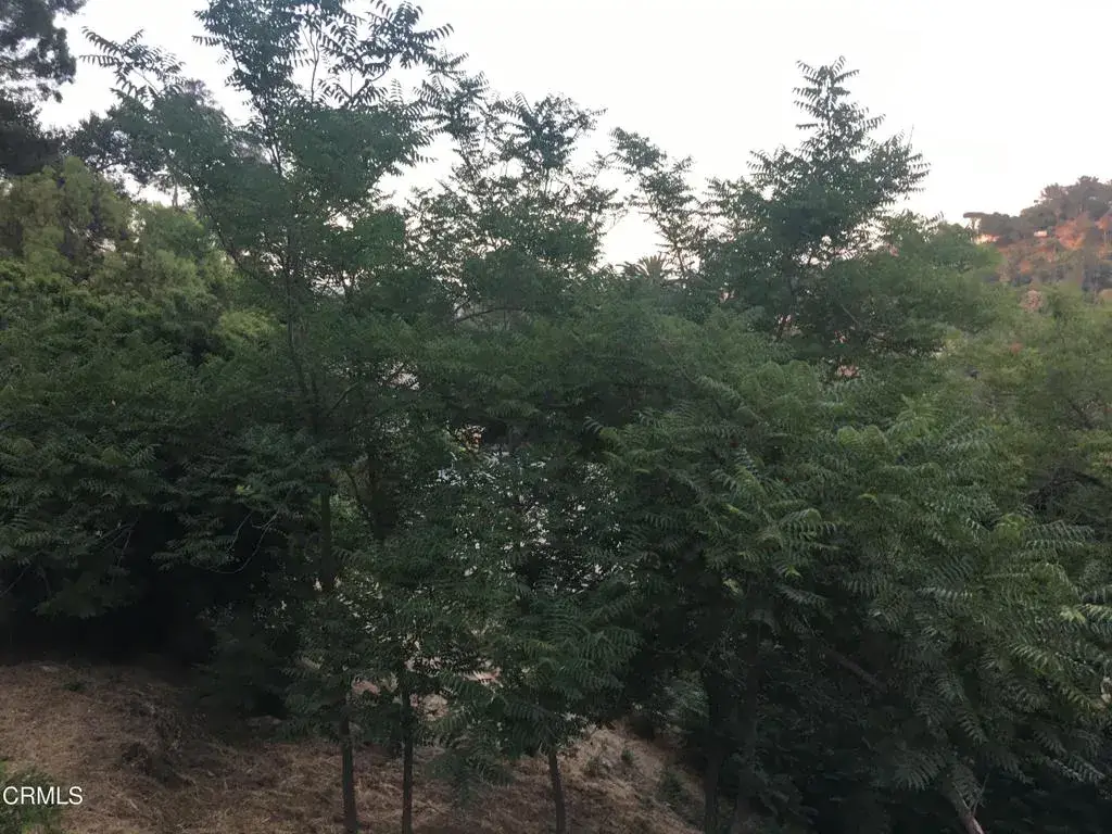 Earl Apn 5422-009-040, Los Angeles, CA 90039 - Image #1