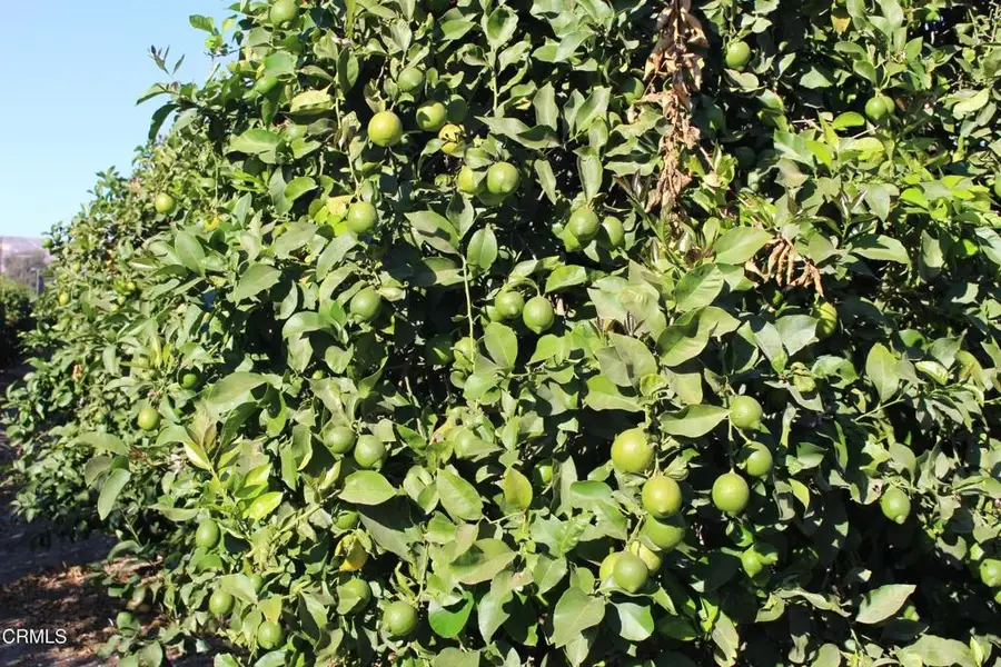 0 Price, Somis, CA 93066 - #2