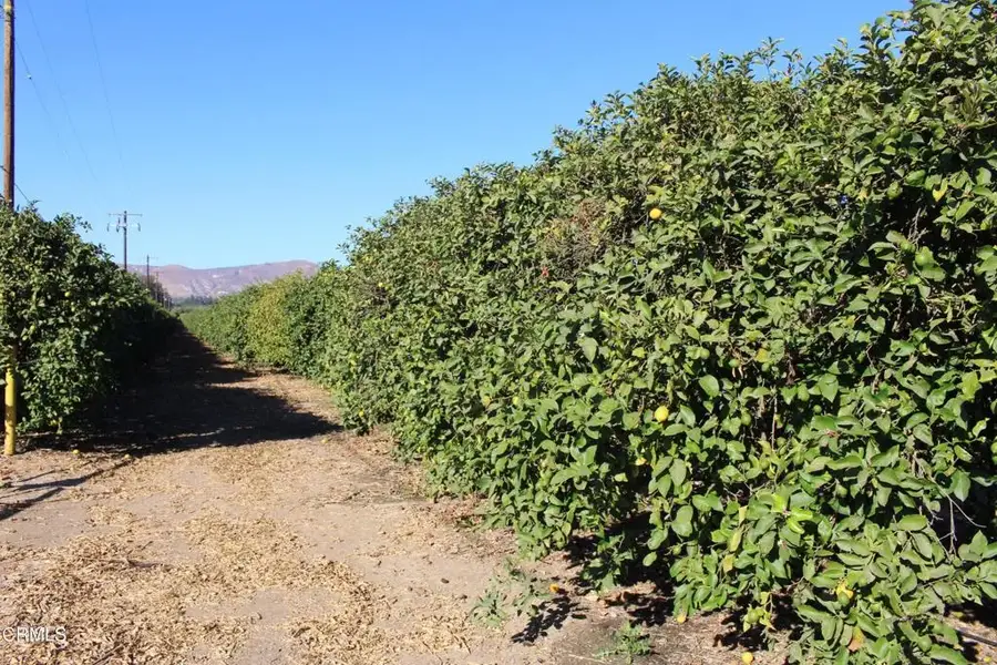 0 Price, Somis, CA 93066 - #3