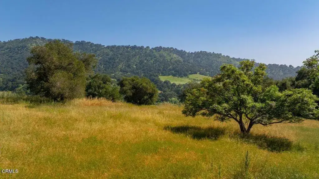 0 Thomas, Oak View, CA 93022 - #1