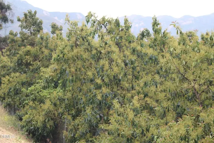 0 Camulos, Piru, CA 93040 - #2