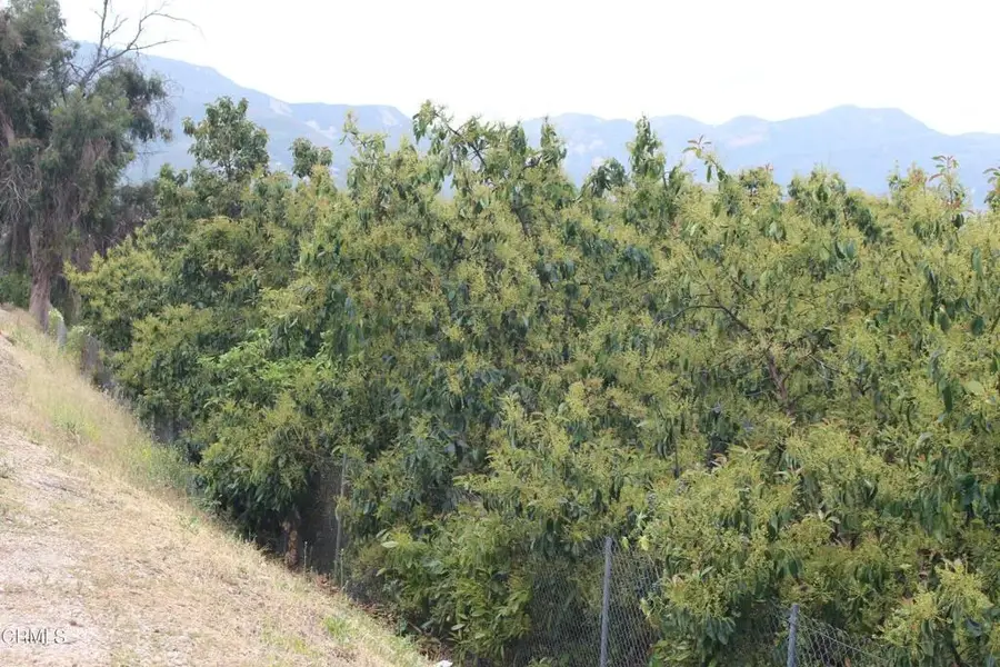 0 Camulos, Piru, CA 93040 - #3