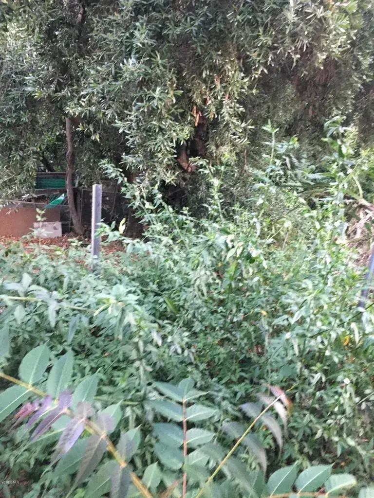 0 Edendale, Los Angeles, CA 90039 - #2