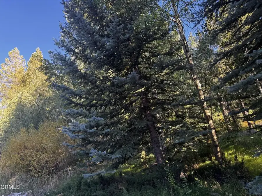 Aspen Grove, June Lake, CA 93529 - #3