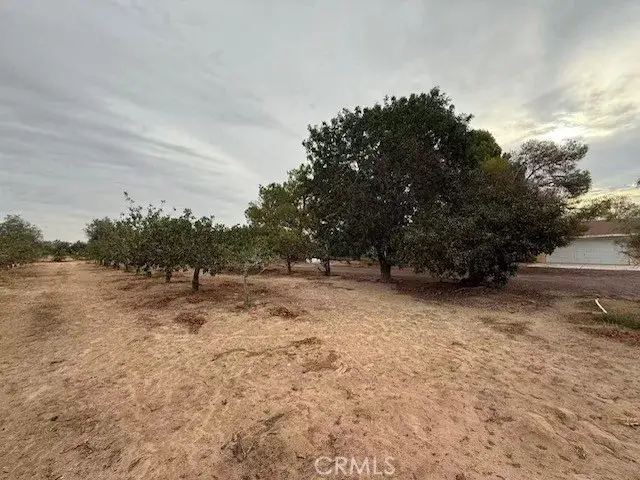 33979 Fremont Rd, Newberry Springs, CA 92365 - Image #3