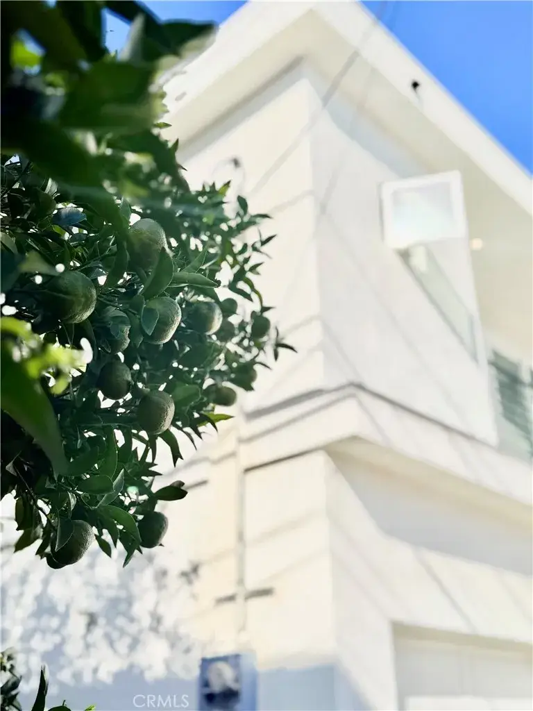 5336 Lemon Grove, Los Angeles, CA 90038 - Image #2