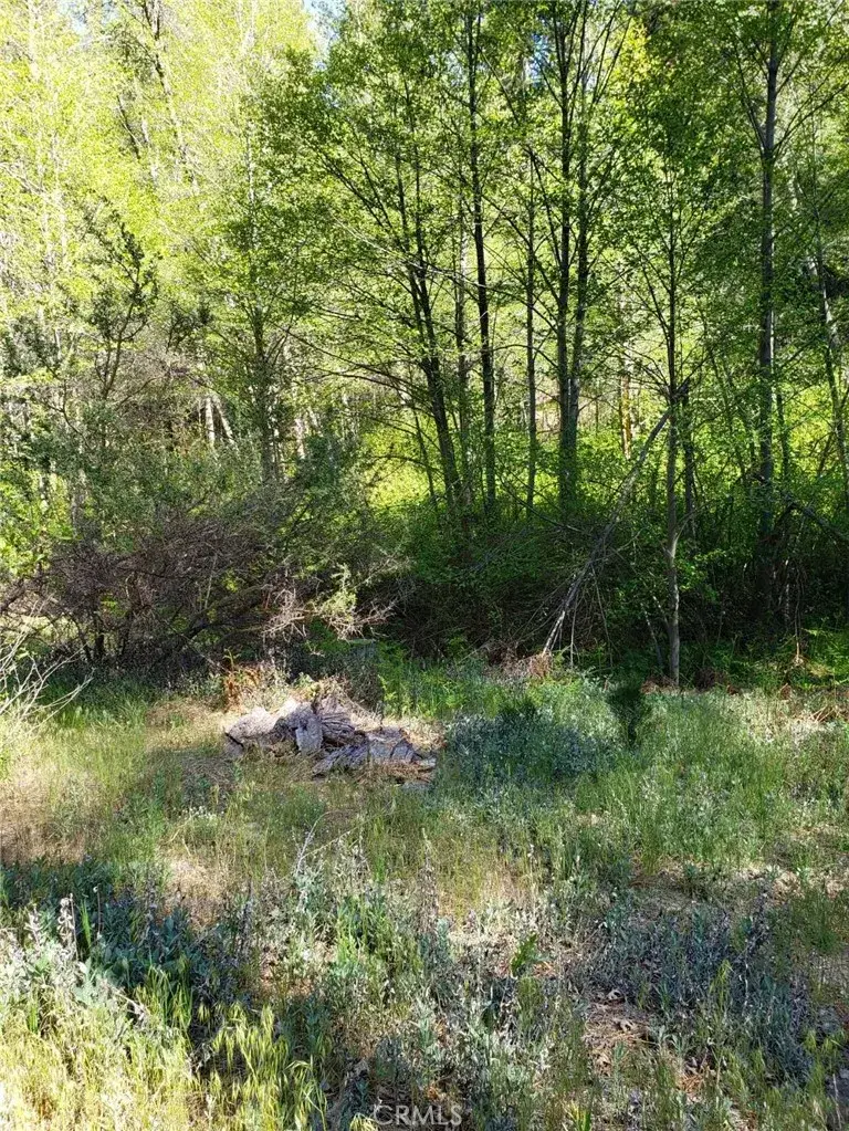 29531 Little Bear Creek, Cedar Glen, CA 92321 - #2