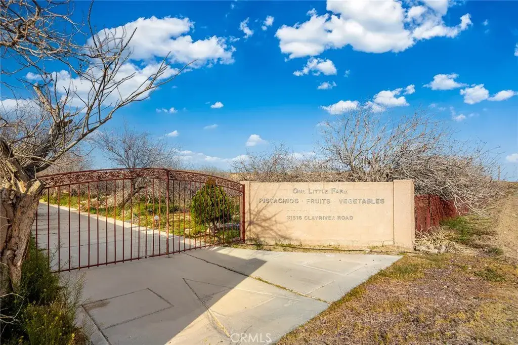 31516 Clay River Road, Barstow, CA 92311 - #1