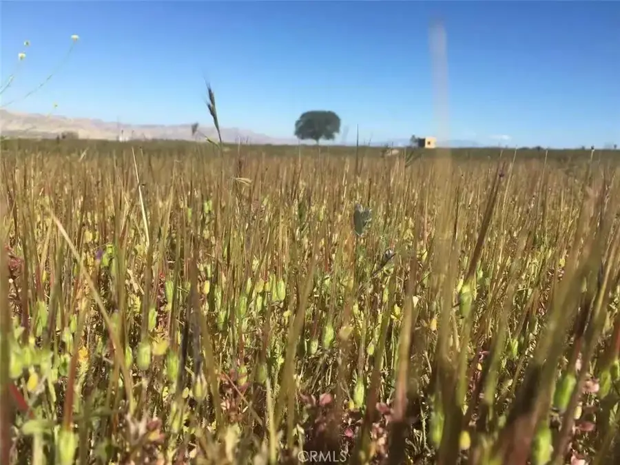 1900 Wasioja, New Cuyama, CA 93254 - #2